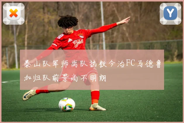 泰山队军师离队执教今治FC马德鲁加归队前景尚不明朗